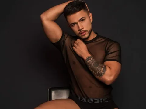 Have a live chat with webcam model PaoloVilla